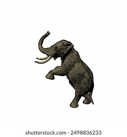 This picture is animal ilustration vector of elephant isolated design template 