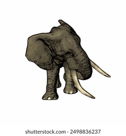 This picture is animal ilustration vector of elephant isolated design template 