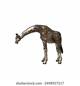 This picture is animal ilustration vector of giraffe design template or mascot 