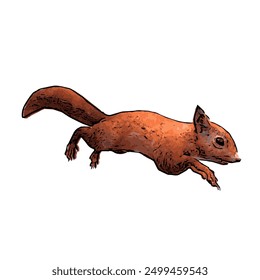 Esta imagen es Vector de ilustración animal de ardilla roja, este diseño natural para la Plantilla 