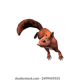 This picture is animal ilustration vector of red squirel, this natural design for template 