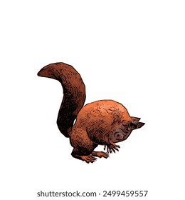 This picture is animal ilustration vector of red squirel, this natural design for template 