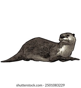 This picture is animal ilustration vector design of Otter, that image is isolated work for template 