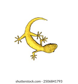 This picture is animal ilustration vector design of Gecko 