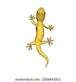 This picture is animal ilustration vector design of Gecko 