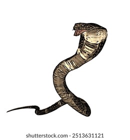 Esta imagem é ilustração animal vetor design isolado de cobra cobra naja