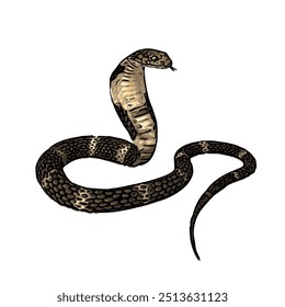 Esta imagem é ilustração animal vetor design isolado de cobra cobra naja