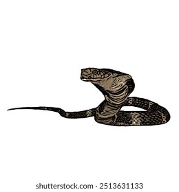 Esta imagem é ilustração animal vetor design isolado de cobra cobra naja