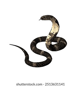 Esta imagem é ilustração animal vetor design isolado de cobra cobra naja