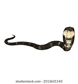 Esta imagem é ilustração animal vetor design isolado de cobra cobra naja