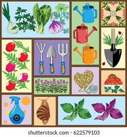 This picture is a collage about the cultivation of herbs and spring plants