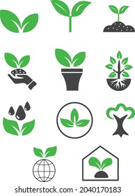 This picture describes the process of plant reproduction