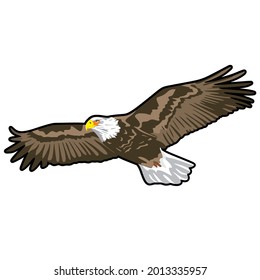 This is a picture of an eagle. very suitable for use for images or logos with nature and animal themes.