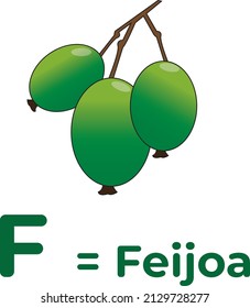 this is a picture of the feijoa fruit as a learning medium for children to recognize the letters of the alphabet