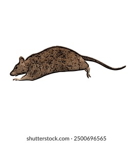 This picture is ilustration vector isolated of animal wildlife of MOUSE design 