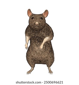 Esta imagen es un Vector de ilustración aislado de la vida silvestre animal del diseño del RATÓN 