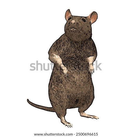 This picture is ilustration vector isolated of animal wildlife of MOUSE design 