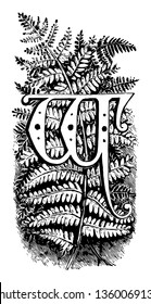 Esta imagen incluye la letra W. detrás de la letra W hay una rama de árboles esparcidos a través de la letra, el dibujo vintage o la ilustración grabadora.