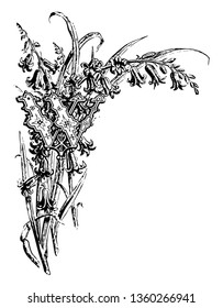 This picture includes the letter W. Letter is designed with the bunch of flowers and leaves. Inside the shape of letter there is the design of small flowers, vintage line drawing or engraving