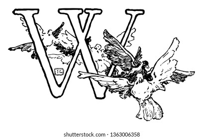 This picture includes the letter W. Letter having the double border. There are some birds across the letter, vintage line drawing or engraving illustration.