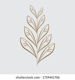 esta es una imagen de una hoja con líneas de oro