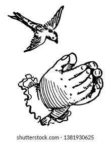 This picture represents Hands forming a nest for a bird, vintage line drawing or engraving illustration.