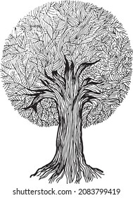 This is a picture of a round tree. This image is hand drawn in a vintage style. The lines made in the picture show the impression of old and symbolic value