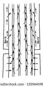 This picture showing a stored food. These picture show the flow of food, these foods flow through the tubes, vintage line drawing or engraving illustration.