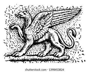 In this picture shown Griffin who an imaginary animal supposed to be generated between the lion and the eagle, vintage line drawing or engraving illustration.