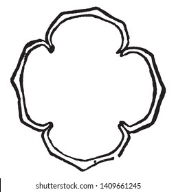This picture shows a calyx section of Virgin's-bower, vintage line drawing or engraving illustration.