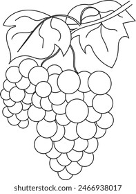 Esta imagen de un vino es adecuada para aquellos de ustedes que están buscando materiales para hacer un libro para colorear para niños.