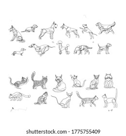 This pictures of dogs you can easily teach drawing to children