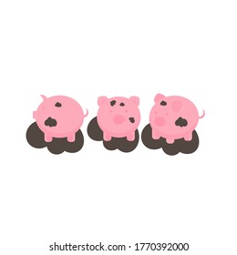 This is a pig in a puddle isolated on a white background.