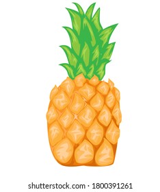 Das ist Ananas- und Vektorbild
