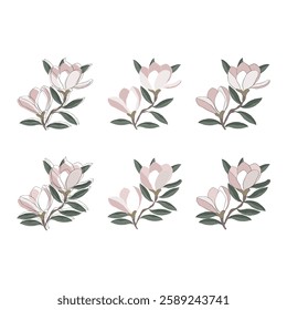This pink watercolor magnolia flower vector illustration isolated on white background. spring magnolia blossom, magnolia logo, floral illustration, botanical design, minimalist flower, magnolia branch