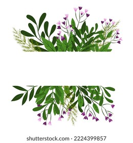 this is the place for the text leaves herbs berries. frame with floral design vector illustration