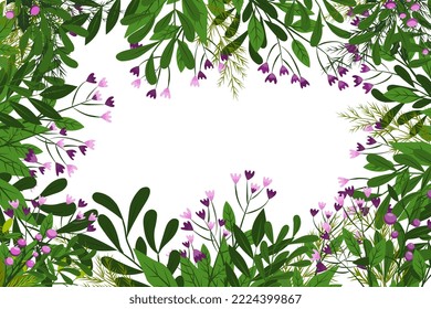 este es el lugar donde el texto deja bayas de hierbas aromáticas. marco con ilustración vectorial de diseño floral