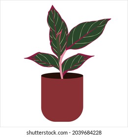Esta ilustración de planta es adecuada para libros infantiles, imágenes de ropa infantil y papel mural.