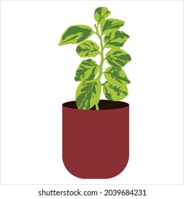 Esta ilustración de planta es adecuada para libros infantiles, imágenes de ropa infantil y papel mural.
