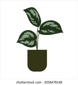 This plant illustration is suitable for use for children's books, pictures of children's clothes and wall paper