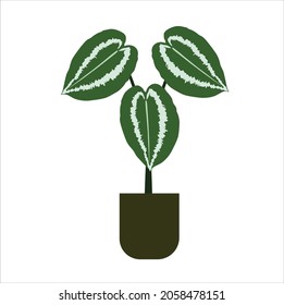 This plant illustration is suitable for use for children's books, pictures of children's clothes and wall paper