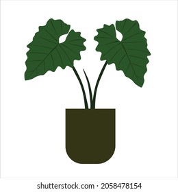 This plant illustration is suitable for use for children's books, pictures of children's clothes and wall paper
