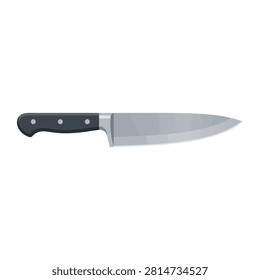 This professional stainless steel kitchen chef knife features a sharp silver blade and an ergonomic black riveted handle for precise food preparation. The clean design is ideal for any culinary task or restaurant setting on a plain white studio background.