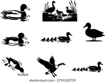 This professional vector set features diverse duck and goose silhouettes in actions like swimming, flying, and diving. It is ideal for wildlife branding, nature conservation projects, and educational materials.

