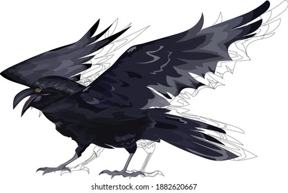This is raven or a crow illustration with silhouette