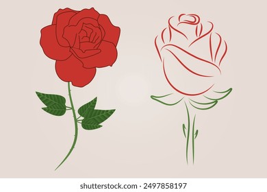 This is red rose.The red rose belongs to the species Rosa, which encompasses a wide variety of species and cultivars. It typically features vibrant red petals arranged in multiple layers around a cent