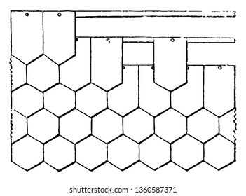 This is the representation of the different type of brick projecting done or arranged for the construction of the roof. It is common to have two three or more courses of ornamental tiles vintage line 