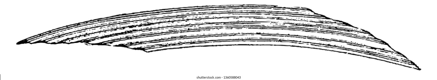 This is the representation of the iron sheets in addition to the furrowing a sheet lengthways so as to give it a appearance it is also bent in one general curve in the direction of its length vintage 