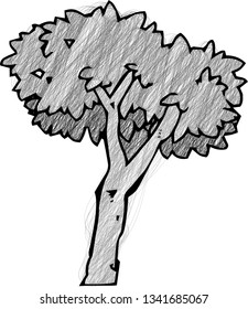 This is a rough sketch of a picture tree style tree.
