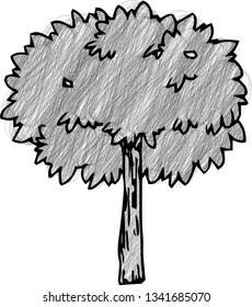 This is a rough sketch of a picture tree style tree.